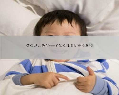 试管婴儿费用 - 武汉黄浦医院专业就诊